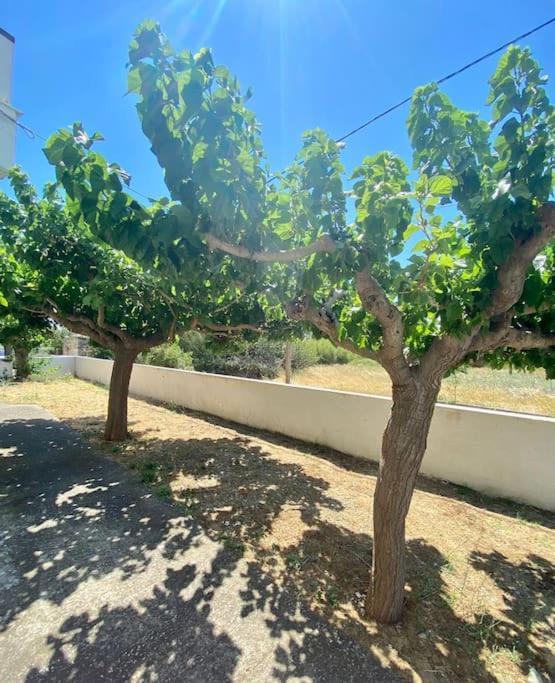Apartmán Τέσσερις Εποχές Aetos  Exteriér fotografie