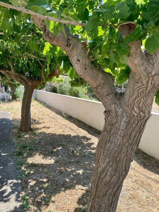Apartmán Τέσσερις Εποχές Aetos  Exteriér fotografie